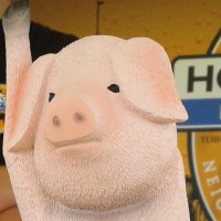 Hogtown Brewers