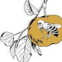Punx Ciderworks